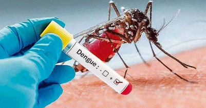 Dengue: 9 more people d i e, record 2293 hospitalised