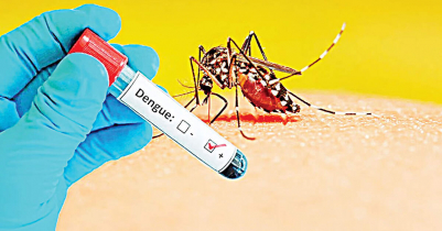 Dengue d e a t h toll reaches 283, highest in history