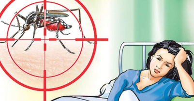 10 dengue patients die, 2,589 hospitalised in 24 hours