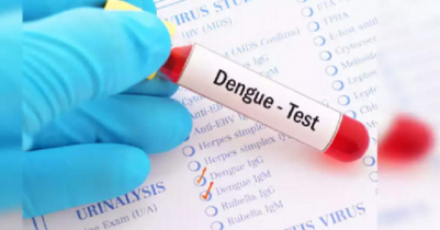 Dengue d e a th toll rises to 466 with 13 more deaths in 24 hours