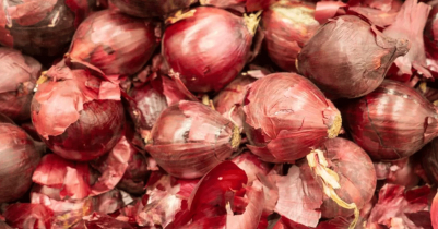 Decision on onion import in 2-3 days: Agriculture Minister