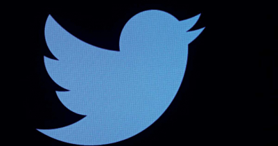 Twitter’s bird could be replaced