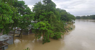 বন্যায় ১৫টি জেলায় ক্ষ*তিগ্রস্ত ২০ লাখ মানুষ 