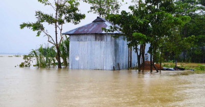 জুড়ীতে ভ*য়াবহ বন্যা; পানিতে ভাসছে গ্রামের পর গ্রাম