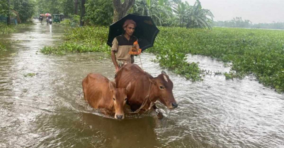 কুলাউড়ায় পানিবন্দি লক্ষাধিক মানুষ, বন্যা পরিস্থিতির অবনতি