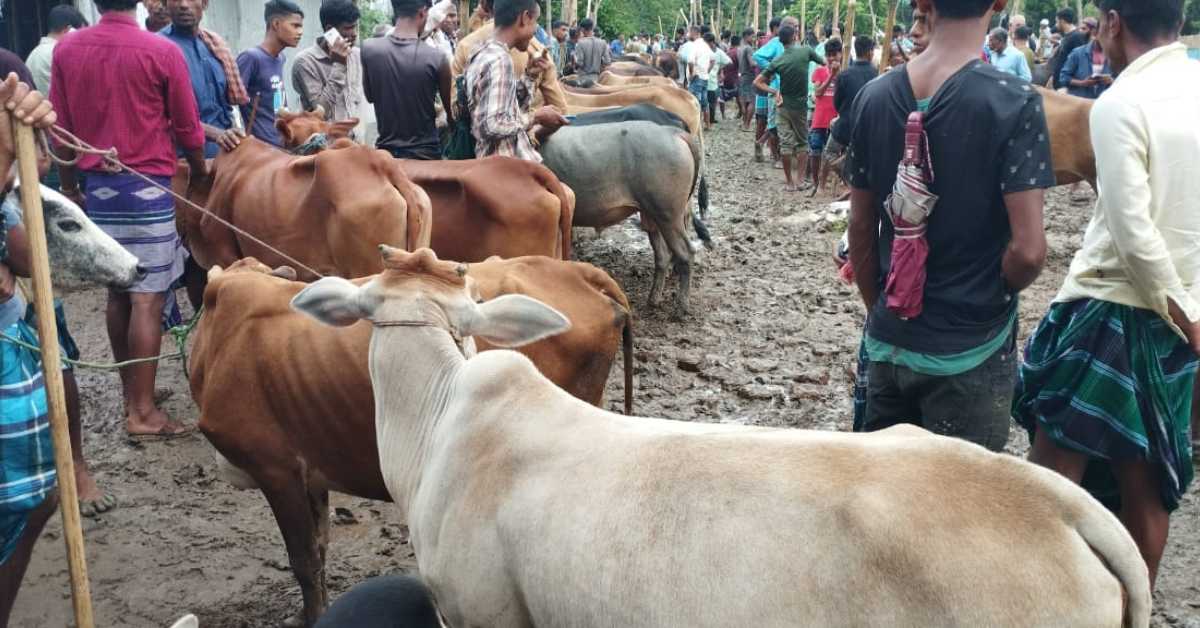 পশুর হাটে ঈদের আগেরদিন দেখা গেছে অসংখ্য ক্রেতাদের ভিড়। ছবি- আই নিউজ