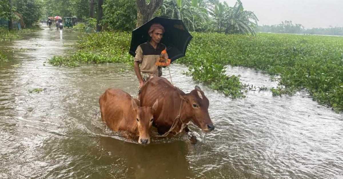 ছবি- সংগৃহীত