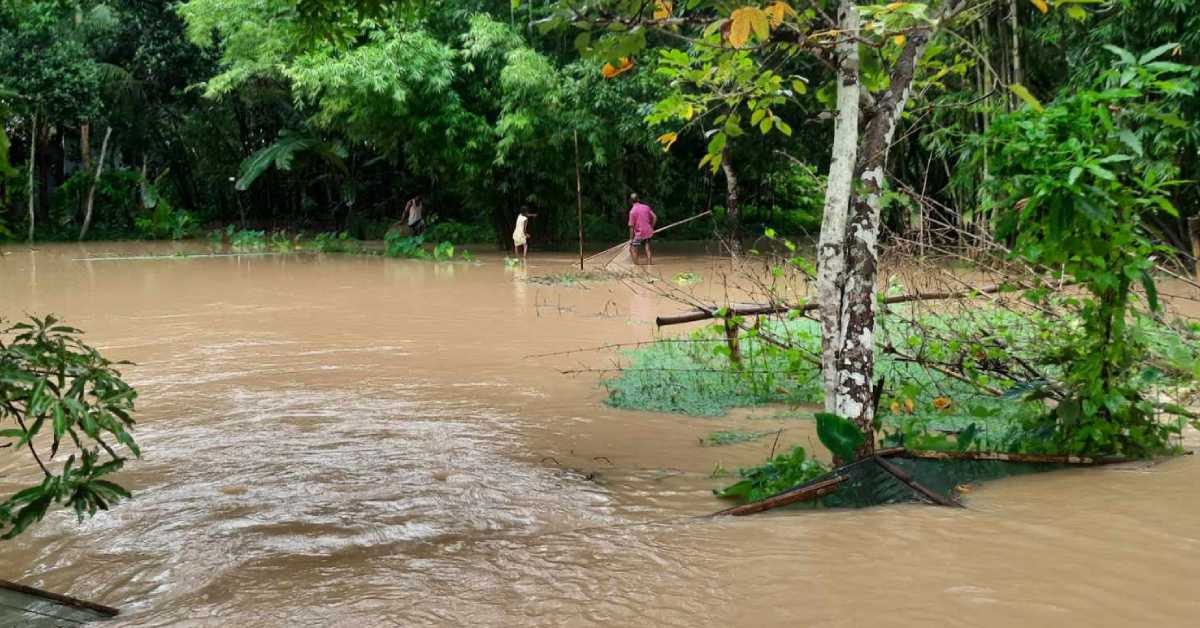 বন্যায় জেলায় প্রাণীসম্পদ খাতে ক্ষতি হয়েছে প্রায় ৮৪ লাখ টাকা। 