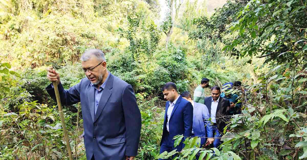 জুড়ী লাঠিটিলা বন পরিদর্শন করেন মন্ত্রীপরিষদ সচিব ড. শেখ আব্দুর রশীদ।