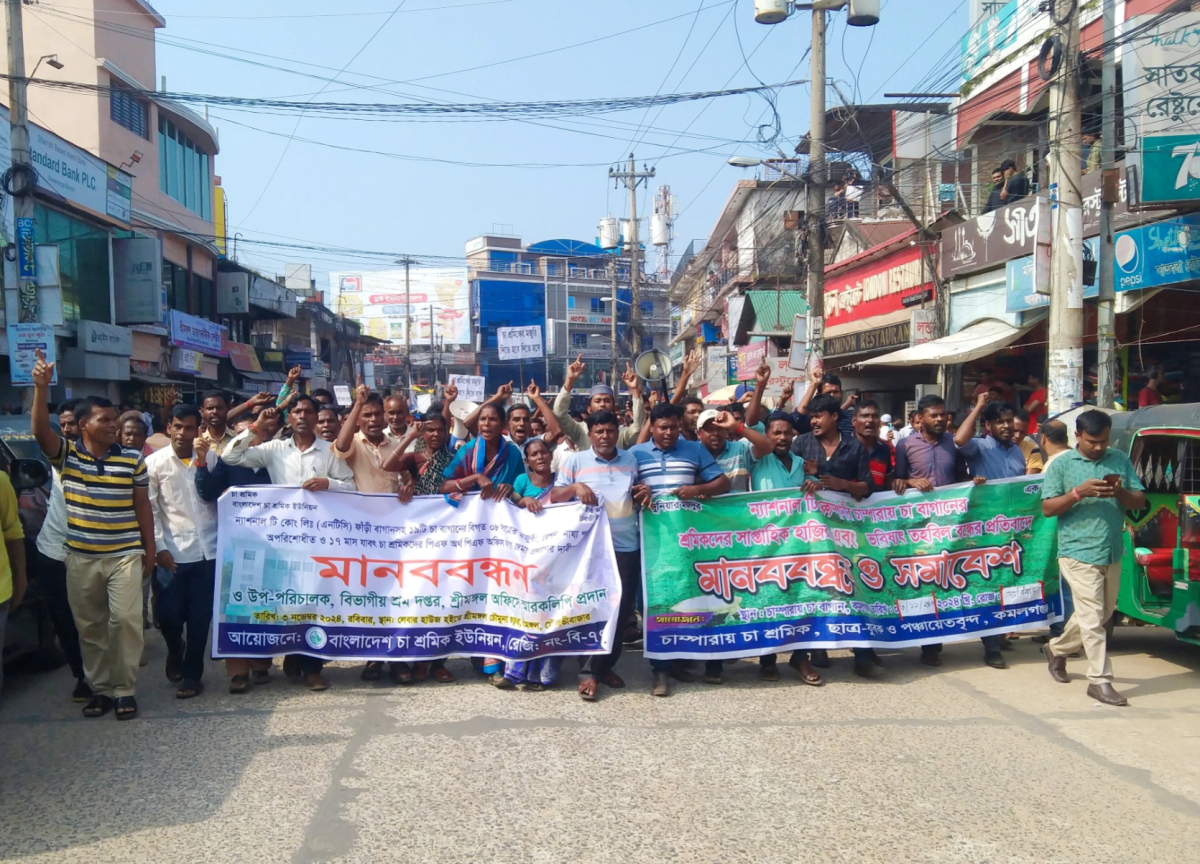 এনটিসির শতাধিক চা শ্রমিকেরা জড়ো হয়ে মানববন্ধন ও বিক্ষোভ সমাবেশ করেছে। ছবি: আই নিউজ