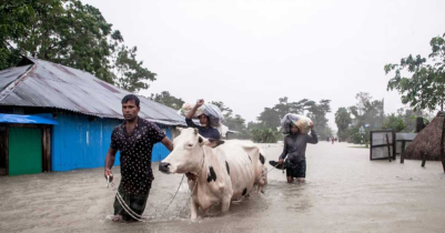 ফেনীর বন্যা পরিস্থিতি : যোগাযোগ বিচ্ছিন্ন ৩ লাখ মানুষ! 