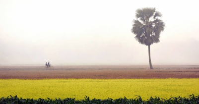 পঞ্চগড়ে তাপমাত্রা নেমে ১২ ডিগ্রি সেলসিয়াস 