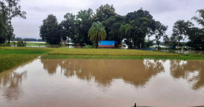 মৌলভীবাজারের বন্যা পরিস্থিতির উন্নতি, কমেনি মানুষের দুর্ভোগ 