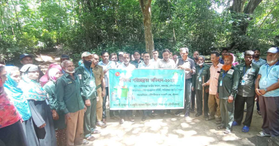 কমলগঞ্জে লাউয়াছড়া জাতীয় উদ্যানে পরিচ্ছন্নতা অভিযান