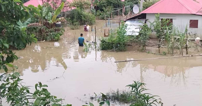 মৌলভীবাজারে বুক সমান পানিতে হাবুডুবু খাচ্ছেন আশ্রয়ণ প্রকল্পের