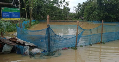 হবিগঞ্জে বন্যায় ভেসে গেছে ১০ কোটি টাকার মাছ