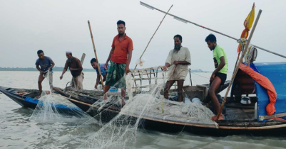 আজ থেকে ২২ দিন বন্ধ থাকবে ইলিশ মাছ আহরণ