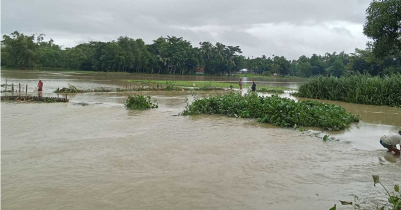 ঝুঁ*কিপূর্ণ বাঁধের উপর দিয়ে প্রবাহিত হচ্ছে ধলাই নদীর পানি 