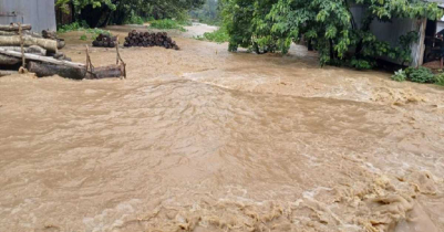 শেরপুরে আকস্মিক বন্যায় প্রা-ণ হারিয়েছেন ৭ জন