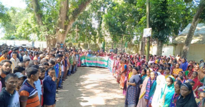 বকেয়া মজুরি প্রদানের দাবীতে কমলগঞ্জে চা শ্রমিকদের মানববন্ধন