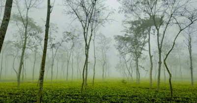 দুই দিন ধরে দেশের সর্বনিম্ন তাপমাত্রা শ্রীমঙ্গলে