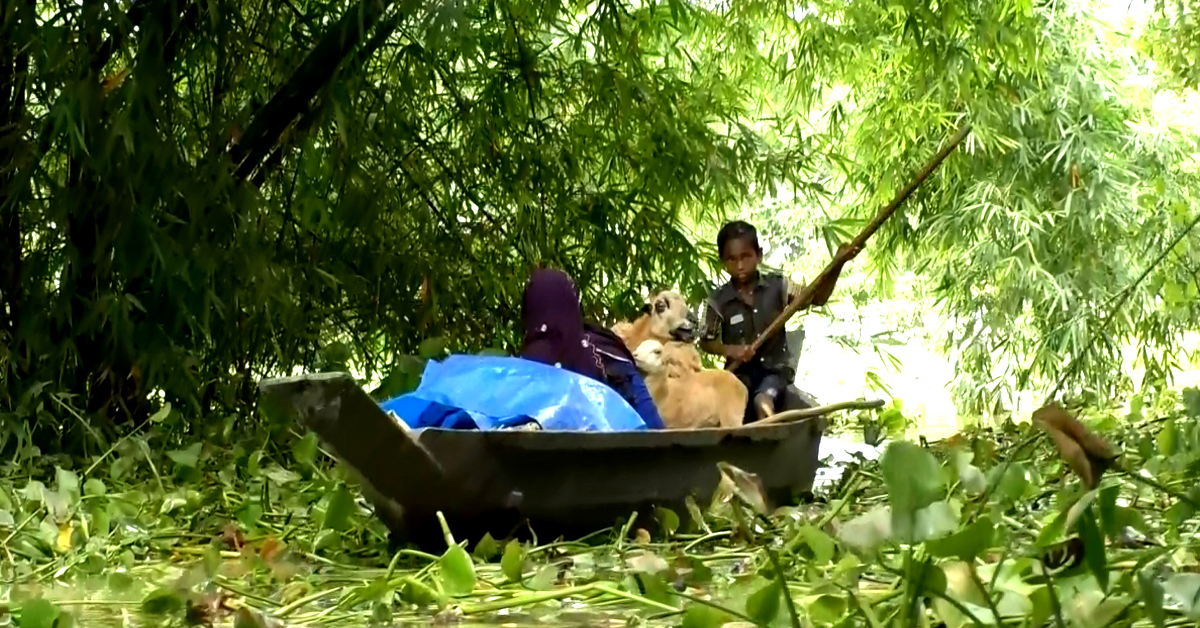 Flood-Affected Bangladesh Struggles with Rising Waters.