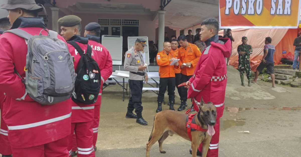 এখনও নিখোঁজ আরও ১৯ জনের সন্ধানে তল্লাশি চালাচ্ছেন উদ্ধারকারীরা। ছবি- সংগৃহীত