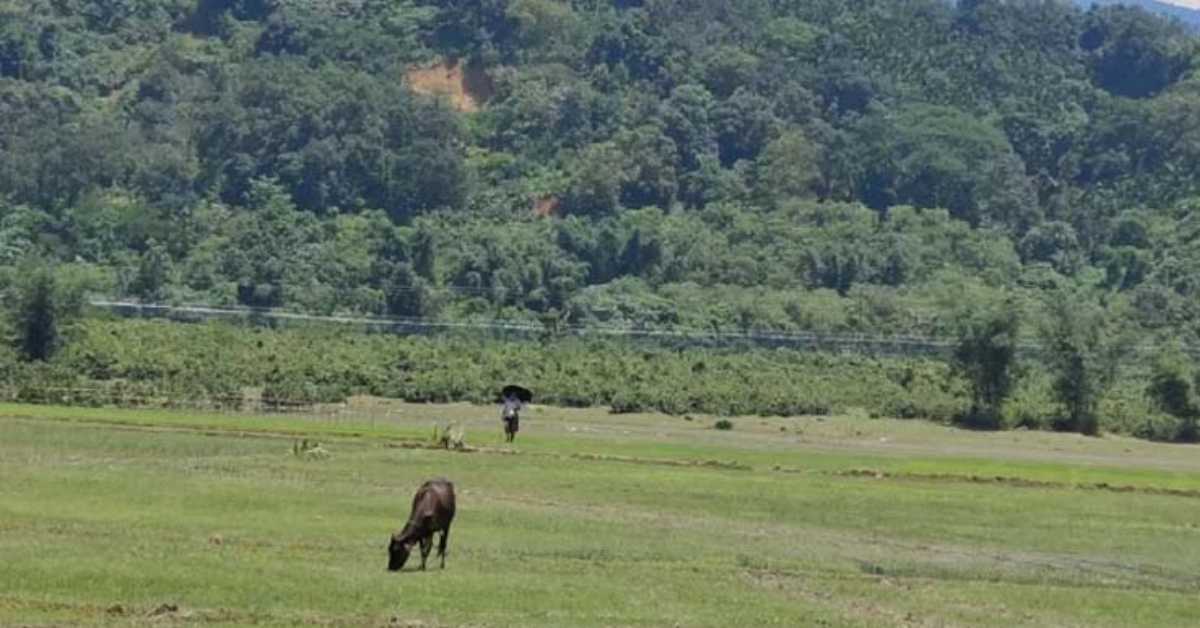 জৈন্তাপুরে সীমান্ত এলাকায় খাসিয়ার ছোঁড়া গু-লিতে যুবক নিহত