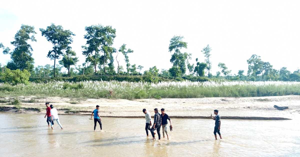 শ্রীমঙ্গলে কাশফুলের সৌন্দর্যে মেতেছেন পর্যটকরা