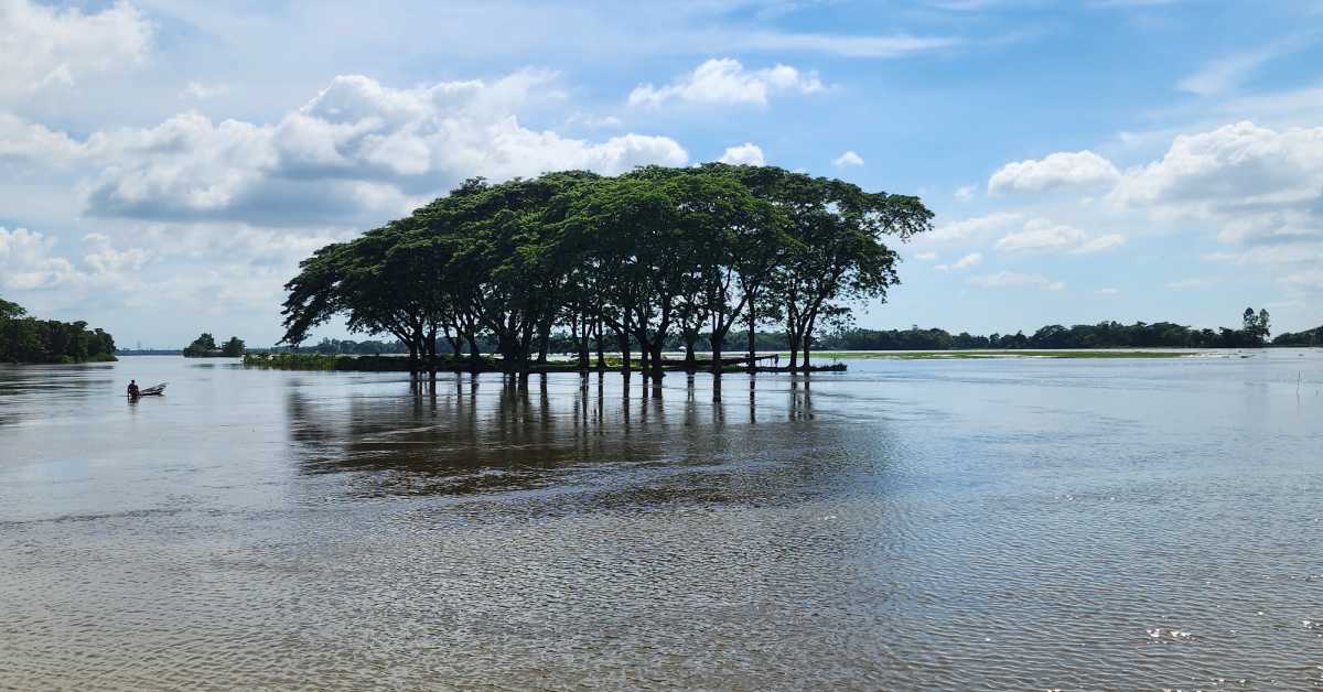 অথৈ জলরাশিতে ঘেরা সৌন্দর্যের আঁধার কাশিমপুর। ছবি- আই নিউজ