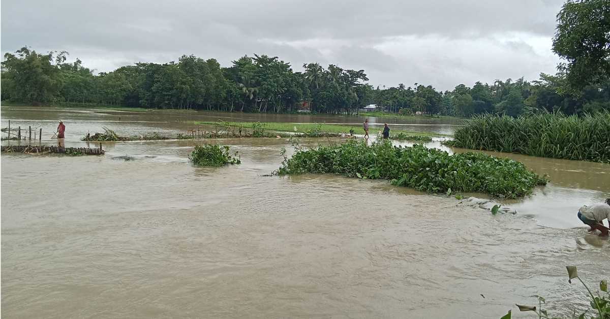 নদীর পানি উপচে প্লাবিত হয়েছে কমলগঞ্জের নিম্নাঞ্চল। ছবি- আই নিউজ