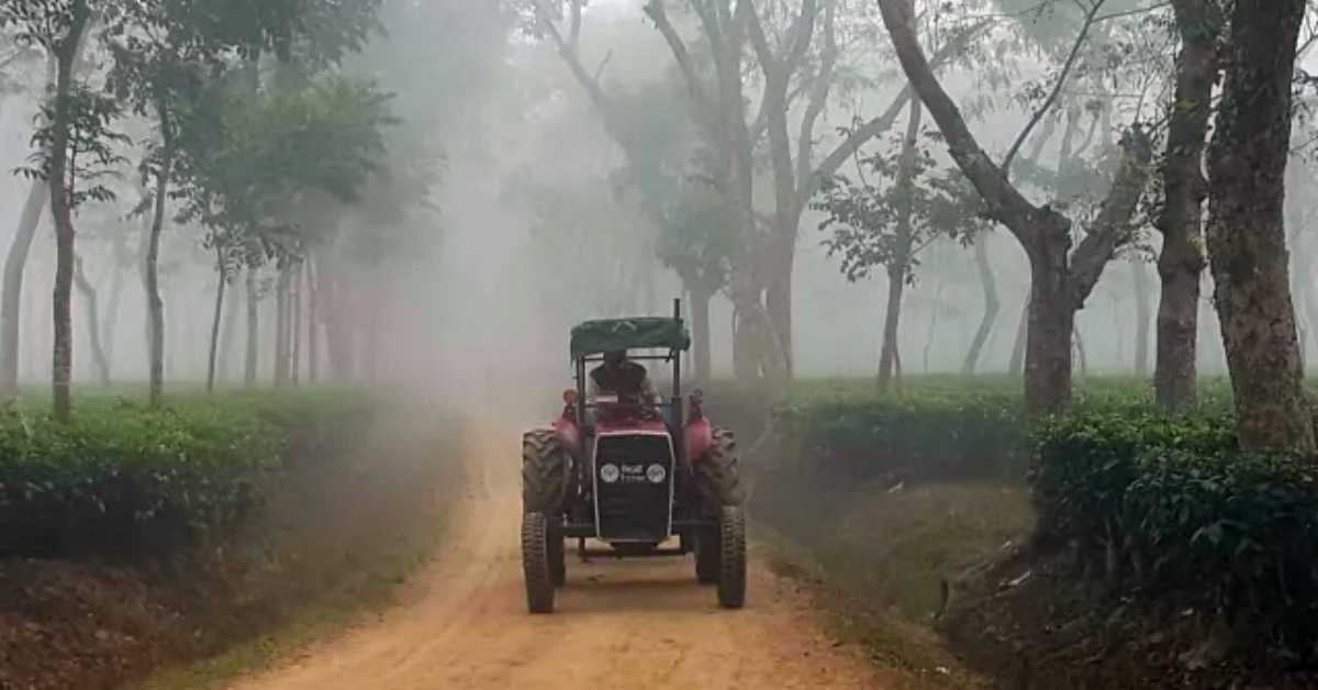 শ্রীমঙ্গলের একটি চা বাগানে শীতের কুয়াশায় ঢাকা বাগানের একটি ট্রাক্টর।